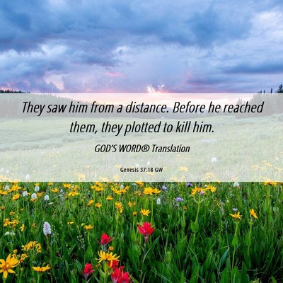Picture 06 - Genesis 37:18 GW - They saw him from a distance. Before he reached - Bible Verse Picture