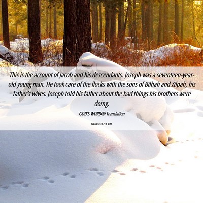 Picture 06 - Genesis 37:2 GW - This is the account of Jacob and his descendants. - Bible Verse Picture