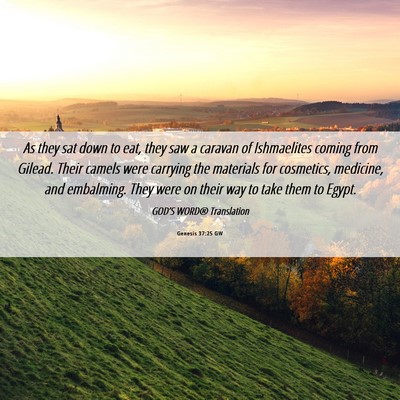 Picture 06 - Genesis 37:25 GW - As they sat down to eat, they saw a caravan of - Bible Verse Picture