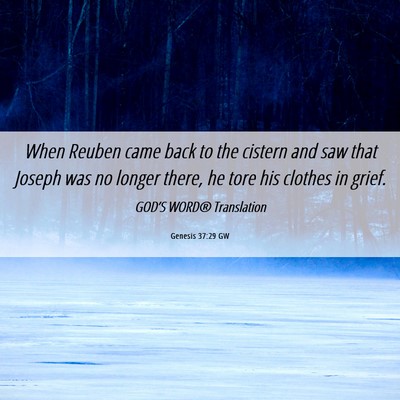 Picture 06 - Genesis 37:29 GW - When Reuben came back to the cistern and saw that - Bible Verse Picture