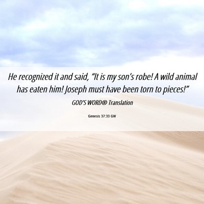 Picture 06 - Genesis 37:33 GW - He recognized it and said, “It is my son’s - Bible Verse Picture