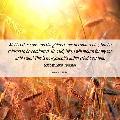 Picture 06 - Genesis 37:35 GW - All his other sons and daughters came to comfort - Bible Verse Picture