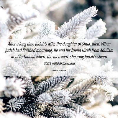 Picture 06 - Genesis 38:12 GW - After a long time Judah’s wife, the daughter of - Bible Verse Picture