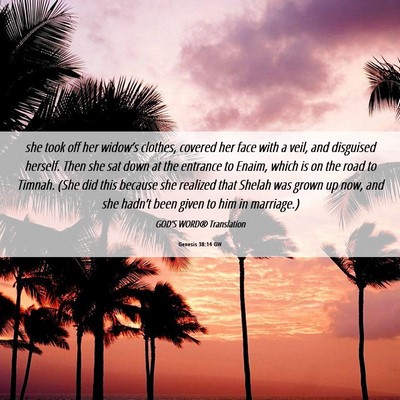 Picture 06 - Genesis 38:14 GW - she took off her widow’s clothes, covered her - Bible Verse Picture