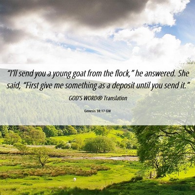 Picture 06 - Genesis 38:17 GW - “I’ll send you a young goat from the - Bible Verse Picture