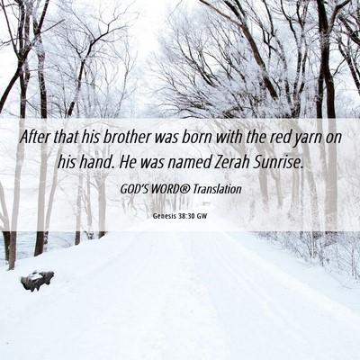Picture 06 - Genesis 38:30 GW - After that his brother was born with the red yarn - Bible Verse Picture