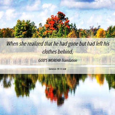 Picture 06 - Genesis 39:13 GW - When she realized that he had gone but had left - Bible Verse Picture