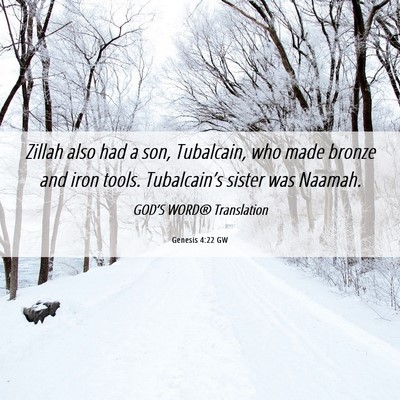 Picture 06 - Genesis 4:22 GW - Zillah also had a son, Tubalcain, who made bronze - Bible Verse Picture