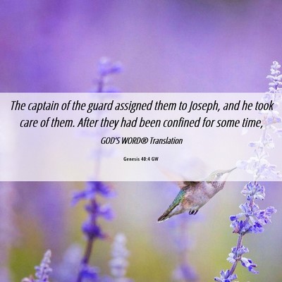 Picture 06 - Genesis 40:4 GW - The captain of the guard assigned them to Joseph, - Bible Verse Picture