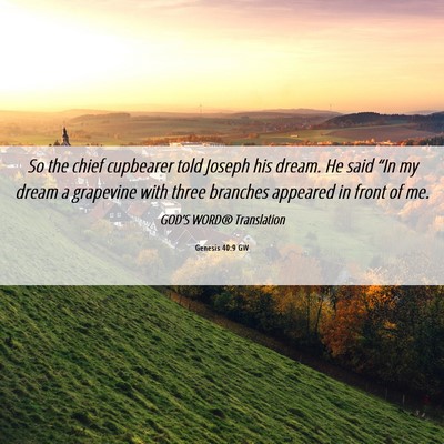 Picture 06 - Genesis 40:9 GW - So the chief cupbearer told Joseph his dream. He - Bible Verse Picture
