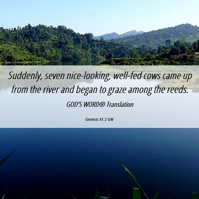 Picture 06 - Genesis 41:2 GW - Suddenly, seven nice-looking, well-fed cows came - Bible Verse Picture