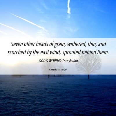 Picture 06 - Genesis 41:23 GW - Seven other heads of grain, withered, thin, and - Bible Verse Picture