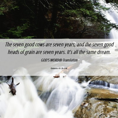Picture 06 - Genesis 41:26 GW - The seven good cows are seven years, and the - Bible Verse Picture
