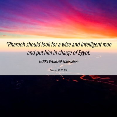 Picture 06 - Genesis 41:33 GW - “Pharaoh should look for a wise and intelligent - Bible Verse Picture