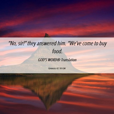 Picture 06 - Genesis 42:10 GW - “No, sir!” they answered him. “We’ve come - Bible Verse Picture