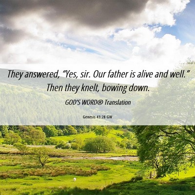 Picture 06 - Genesis 43:28 GW - They answered, “Yes, sir. Our father is alive - Bible Verse Picture