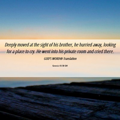 Picture 06 - Genesis 43:30 GW - Deeply moved at the sight of his brother, he - Bible Verse Picture