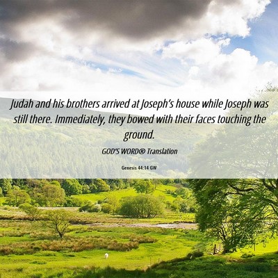 Picture 06 - Genesis 44:14 GW - Judah and his brothers arrived at Joseph’s - Bible Verse Picture