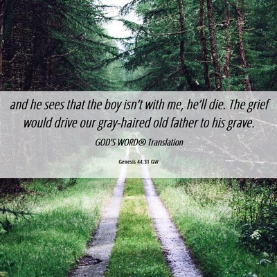 Picture 06 - Genesis 44:31 GW - and he sees that the boy isn’t with me, he’ll - Bible Verse Picture