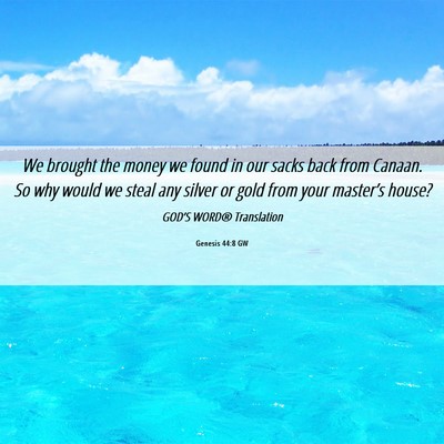 Picture 06 - Genesis 44:8 GW - We brought the money we found in our sacks back - Bible Verse Picture
