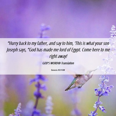 Picture 06 - Genesis 45:9 GW - “Hurry back to my father, and say to him, - Bible Verse Picture