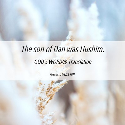 Picture 06 - Genesis 46:23 GW - The son of Dan was - Bible Verse Picture