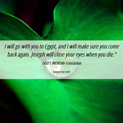Picture 06 - Genesis 46:4 GW - I will go with you to Egypt, and I will make sure - Bible Verse Picture