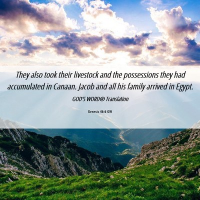 Picture 06 - Genesis 46:6 GW - They also took their livestock and the - Bible Verse Picture