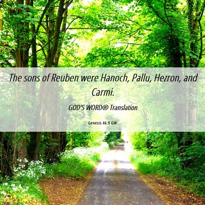 Picture 06 - Genesis 46:9 GW - The sons of Reuben were Hanoch, Pallu, Hezron, - Bible Verse Picture