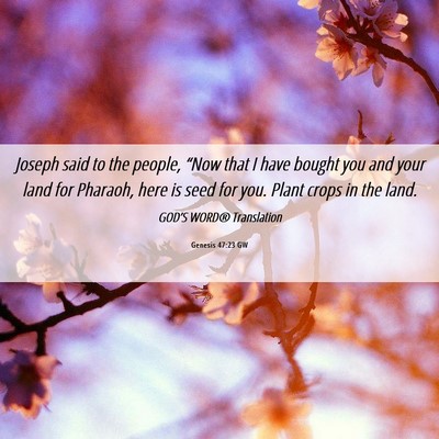 Picture 06 - Genesis 47:23 GW - Joseph said to the people, “Now that I have - Bible Verse Picture