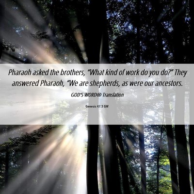 Picture 06 - Genesis 47:3 GW - Pharaoh asked the brothers, “What kind of work - Bible Verse Picture