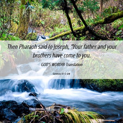 Picture 06 - Genesis 47:5 GW - Then Pharaoh said to Joseph, “Your father and - Bible Verse Picture