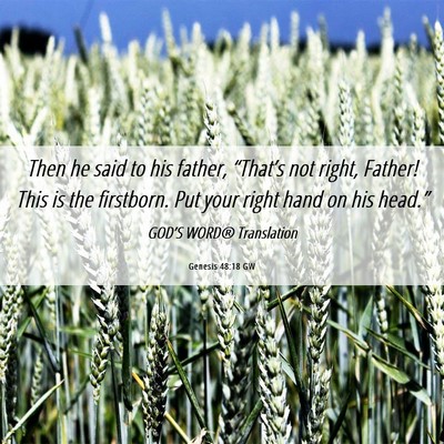 Picture 06 - Genesis 48:18 GW - Then he said to his father, “That’s not - Bible Verse Picture