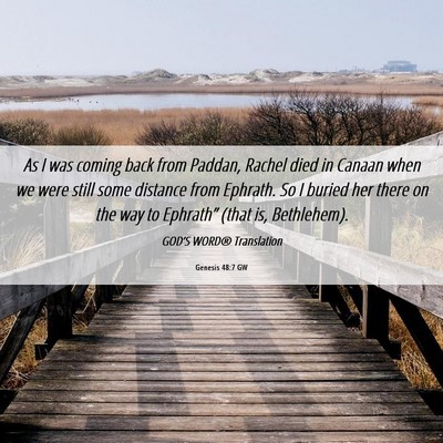 Picture 06 - Genesis 48:7 GW - As I was coming back from Paddan, Rachel died in - Bible Verse Picture