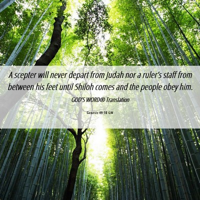 Picture 06 - Genesis 49:10 GW - A scepter will never depart from Judah nor a - Bible Verse Picture