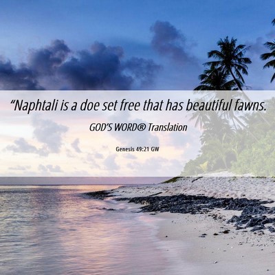 Picture 06 - Genesis 49:21 GW - “Naphtali is a doe set free that has beautiful - Bible Verse Picture