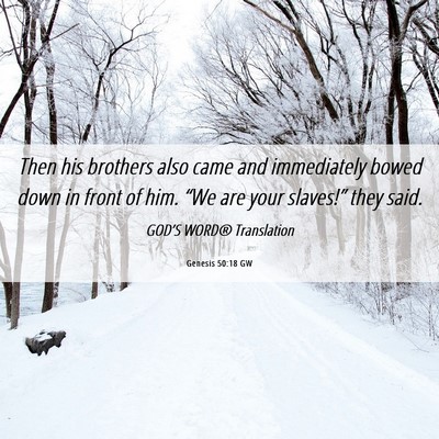 Picture 06 - Genesis 50:18 GW - Then his brothers also came and immediately bowed - Bible Verse Picture