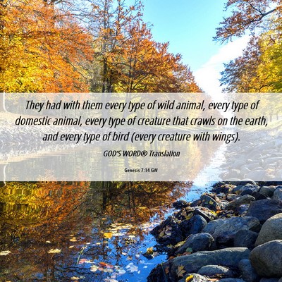 Picture 06 - Genesis 7:14 GW - They had with them every type of wild animal, - Bible Verse Picture