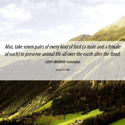 Picture 06 - Genesis 7:3 GW - Also, take seven pairs of every kind of bird (a - Bible Verse Picture