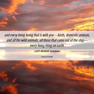 Picture 06 - Genesis 9:10 GW - and every living being that is with you—birds, - Bible Verse Picture