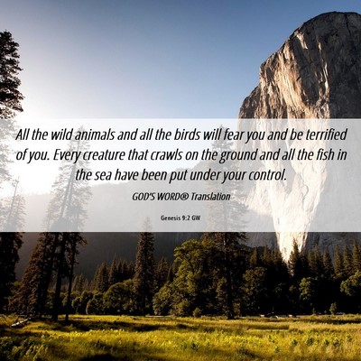 Picture 06 - Genesis 9:2 GW - All the wild animals and all the birds will fear - Bible Verse Picture