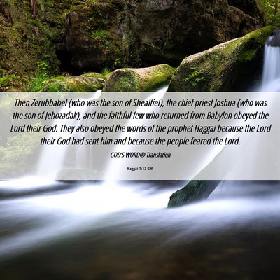 Picture 06 - Haggai 1:12 GW - Then Zerubbabel (who was the son of Shealtiel), - Bible Verse Picture