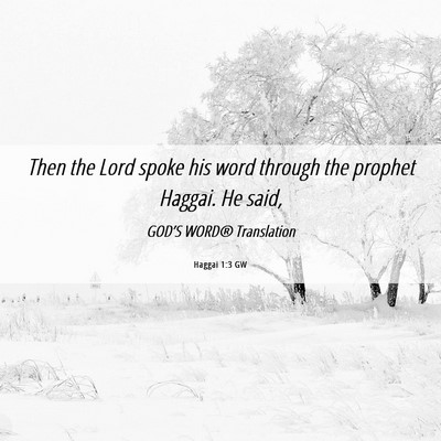 Picture 06 - Haggai 1:3 GW - Then the Lord spoke his word through the prophet - Bible Verse Picture