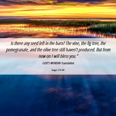 Picture 06 - Haggai 2:19 GW - Is there any seed left in the barn? The vine, the - Bible Verse Picture