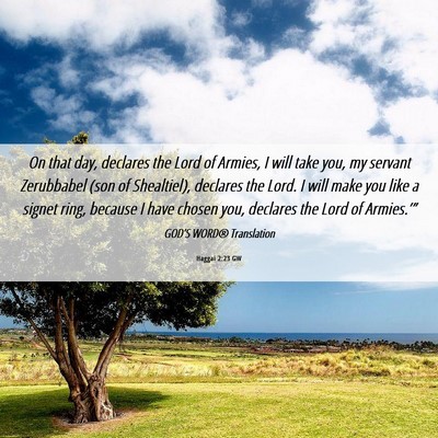 Picture 06 - Haggai 2:23 GW - On that day, declares the Lord of Armies, I will - Bible Verse Picture