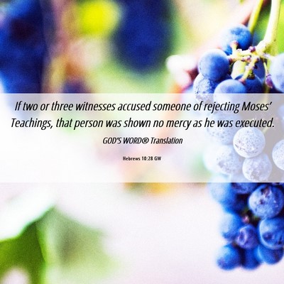 Picture 06 - Hebrews 10:28 GW - If two or three witnesses accused someone of - Bible Verse Picture