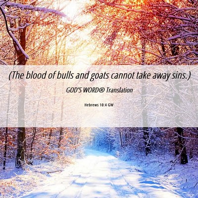 Picture 06 - Hebrews 10:4 GW - (The blood of bulls and goats cannot take away - Bible Verse Picture