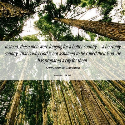 Picture 06 - Hebrews 11:16 GW - Instead, these men were longing for a better - Bible Verse Picture