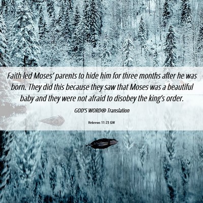 Picture 06 - Hebrews 11:23 GW - Faith led Moses’ parents to hide him for three - Bible Verse Picture