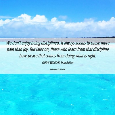 Picture 06 - Hebrews 12:11 GW - We don’t enjoy being disciplined. It always - Bible Verse Picture